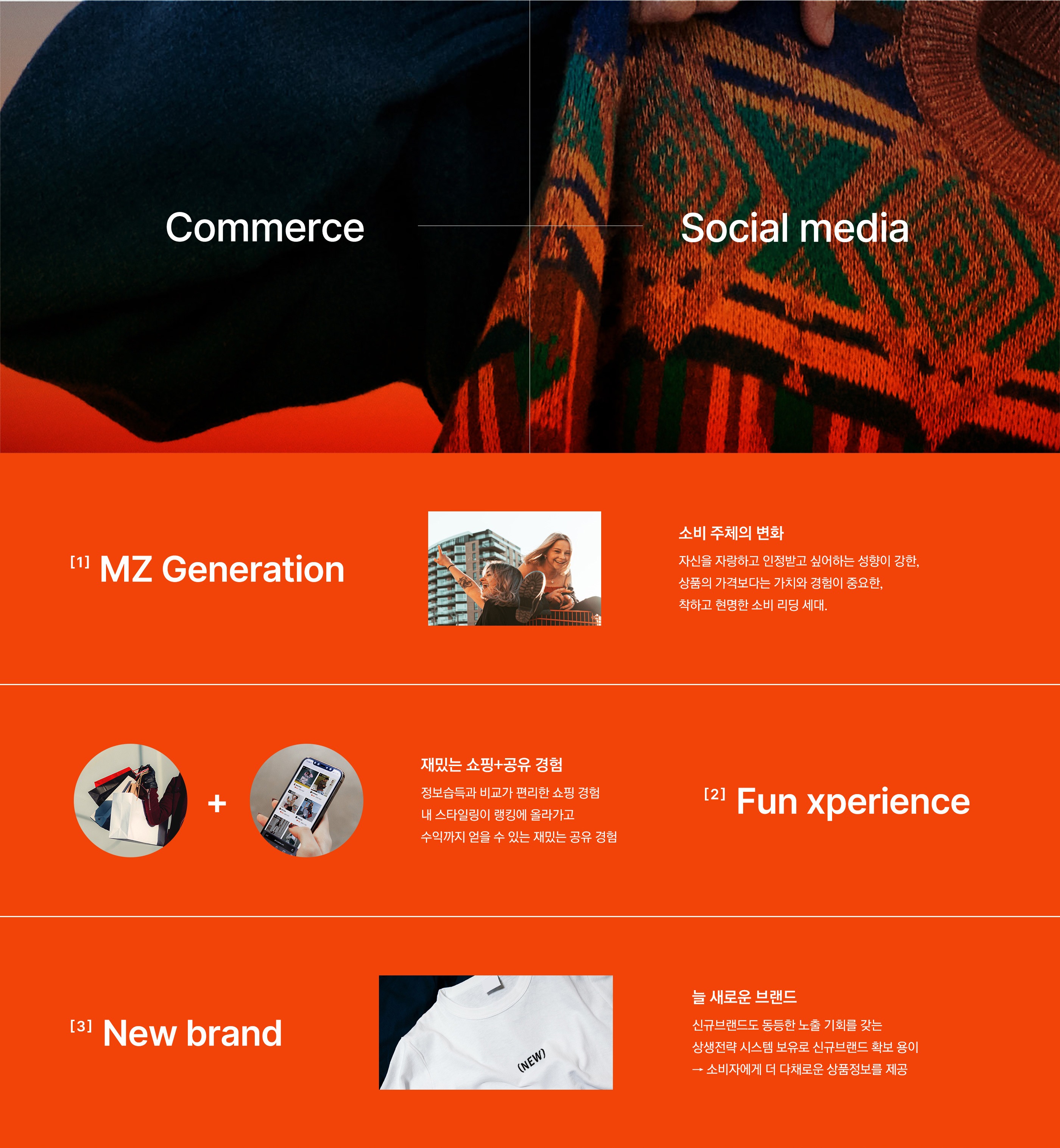 bi_page_3